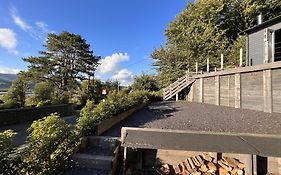 Penestaer